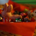 DSC02406