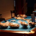 DSC02580
